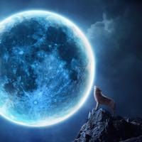 MOON Wallpapers v1 gönderen