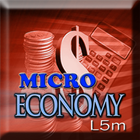 Micro Economy icône