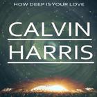 Calvin Harris Hits MP3 icône