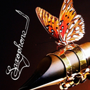 APK Kenny G All Songs - MP3
