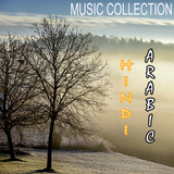 Hindi Songs & Arabic Songs Mp3 icône