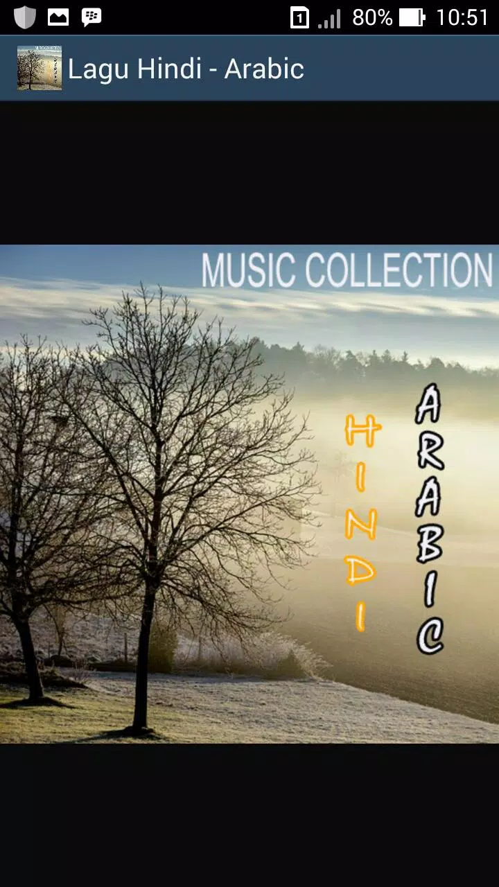 Hindi Songs & Arabic Songs Mp3 APK for Android Download
