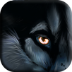 The suite life of Wolf APK
