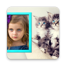 Cat Photo Frame Maker 2018 APK