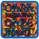 APK Cara Menanam Cabe Rawit