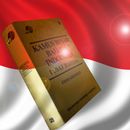 Kamus Besar Indonesia - Lite APK