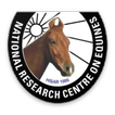 Infoequine by ICAR-NRCE