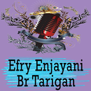 Lagu Karo Efry Ejayani Br Tarigan APK
