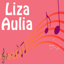 Lagu Aceh Liza Aulia APK