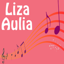 Lagu Aceh Liza Aulia aplikacja