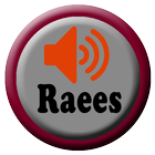 OST Raees India Songs icône