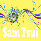 Best Cover Songs Sam Tsui-icoon