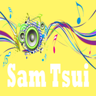 Best Cover Songs Sam Tsui Zeichen