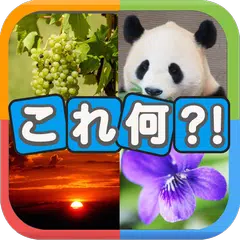 写真から連想！クイズこれ何？ XAPK 下載
