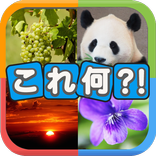 ”写真から連想！クイズこれ何？