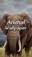 Animal Wallpapers ポスター