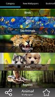 Animal Wallpapers captura de pantalla 2