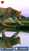 Animal Wallpapers captura de pantalla 3