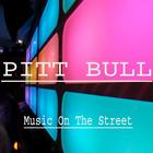 Pitbull Hits - Mp3 ikona
