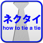 ネクタイの結び方 全17種類 icône