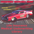 Life Insurance Underwriter ícone