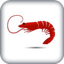 Shrimps Reality APK