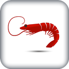 ikon Shrimps Reality