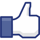 FaceBook Page Likes Widget icon