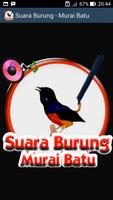 Suara Burung Murai Batu 海报