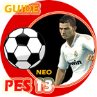 New Guide PES 13 Zeichen
