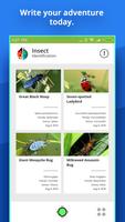 Insect Identifier screenshot 2