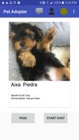 Pet Hotel -- Find or offer a place for pet stays poster