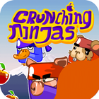 ikon Crunching Ninjas