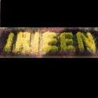 IRIEEN icon