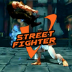 PRO STREET FIGHTER V Tricks