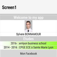 Sylvere BONNAMOUR CV codapps screenshot 1
