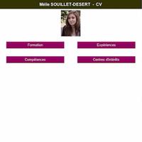 Mélie Souillet Désert CV Affiche