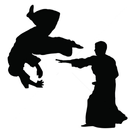 The Art of Aikido Book APK
