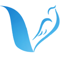 Voiceparrow