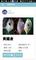 香港釣魚記錄 Cartaz
