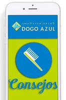 برنامه‌نما Dogo Azul old. عکس از صفحه