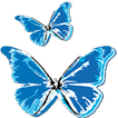 Fotosinthesi icon