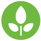 Green House icon