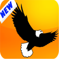 SpeedUp Browser...for Fast Internet, Fast Download
