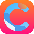 CCSFusion