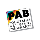 PAB BG icône