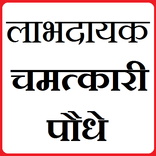 चमत्कारी पौधे: सम्पूर्ण जानकारी - Chamatkari Podhe
