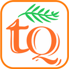 ikon Tattva-Q