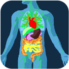Gut Microbiome icon