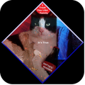 ”DOTTIE DESIGNER - GraphicArt